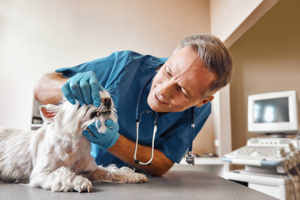 Best Emergency Tooth Extraction in Pegram, TN